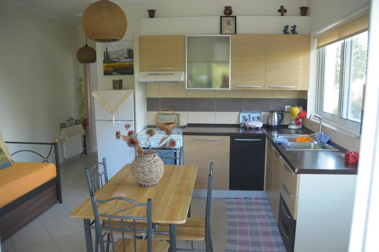 Maria Apartments Lefkáda 外观 照片